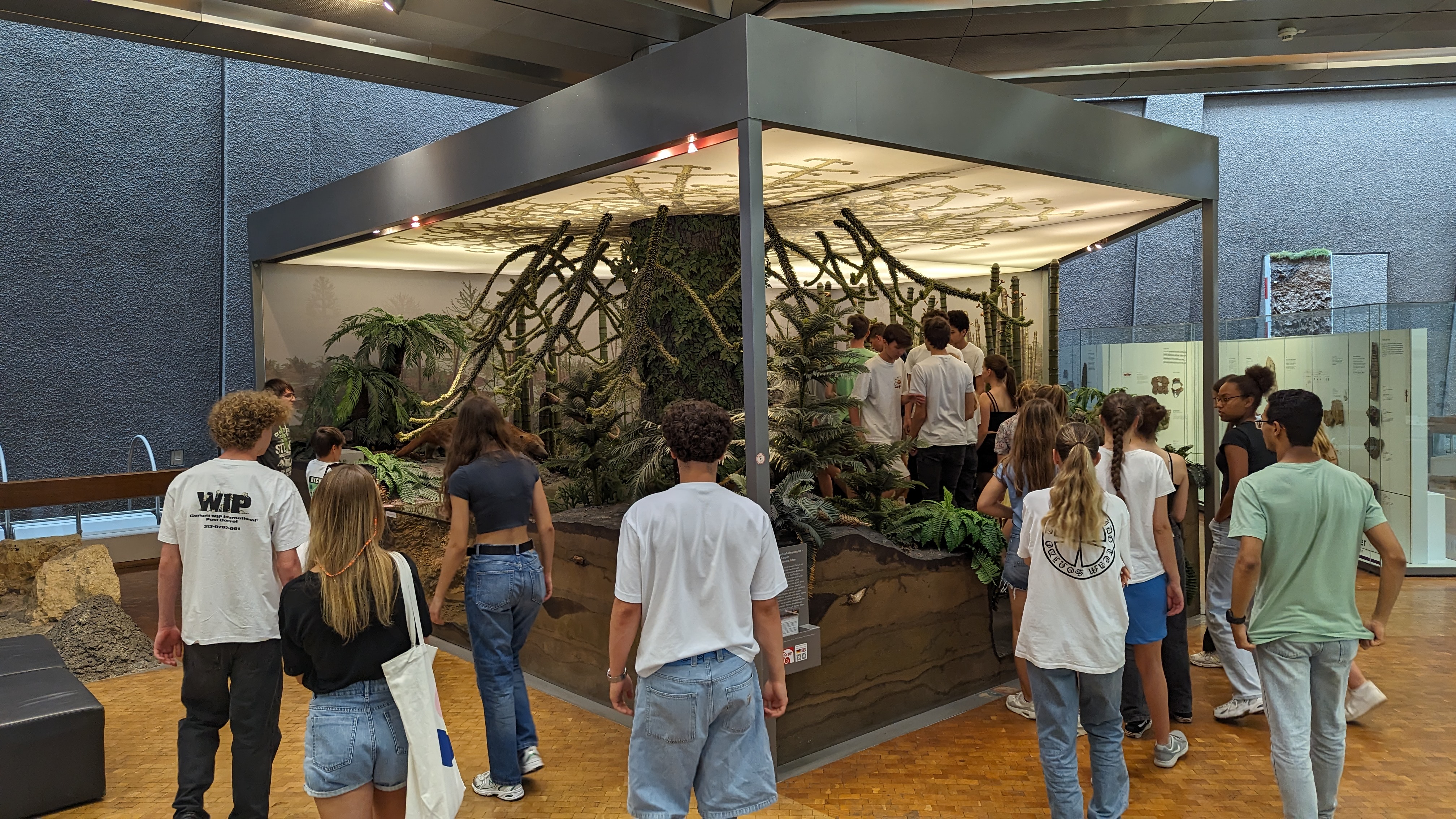 Naturkundemuseum 3