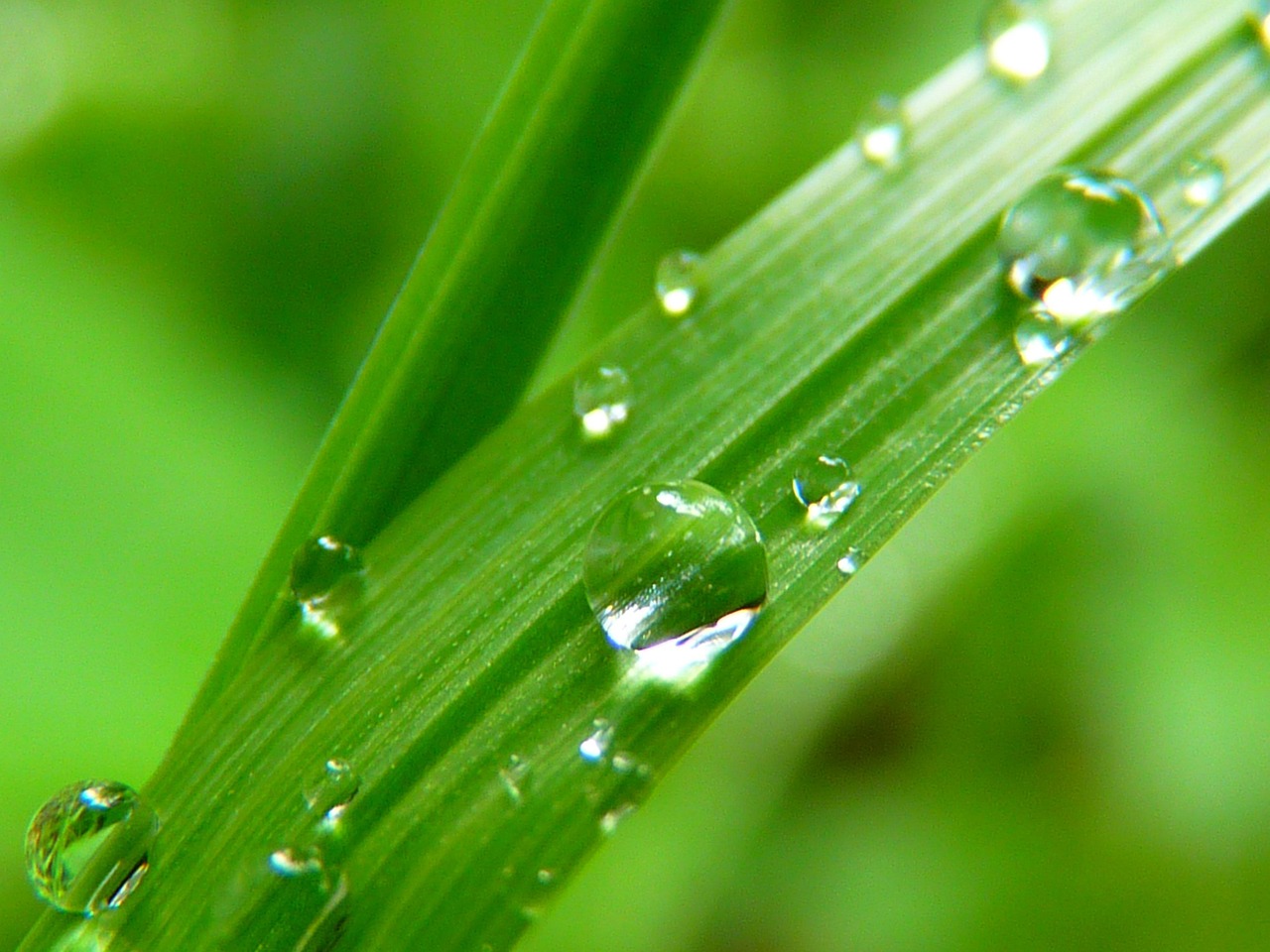 waterdrop 7720 1280